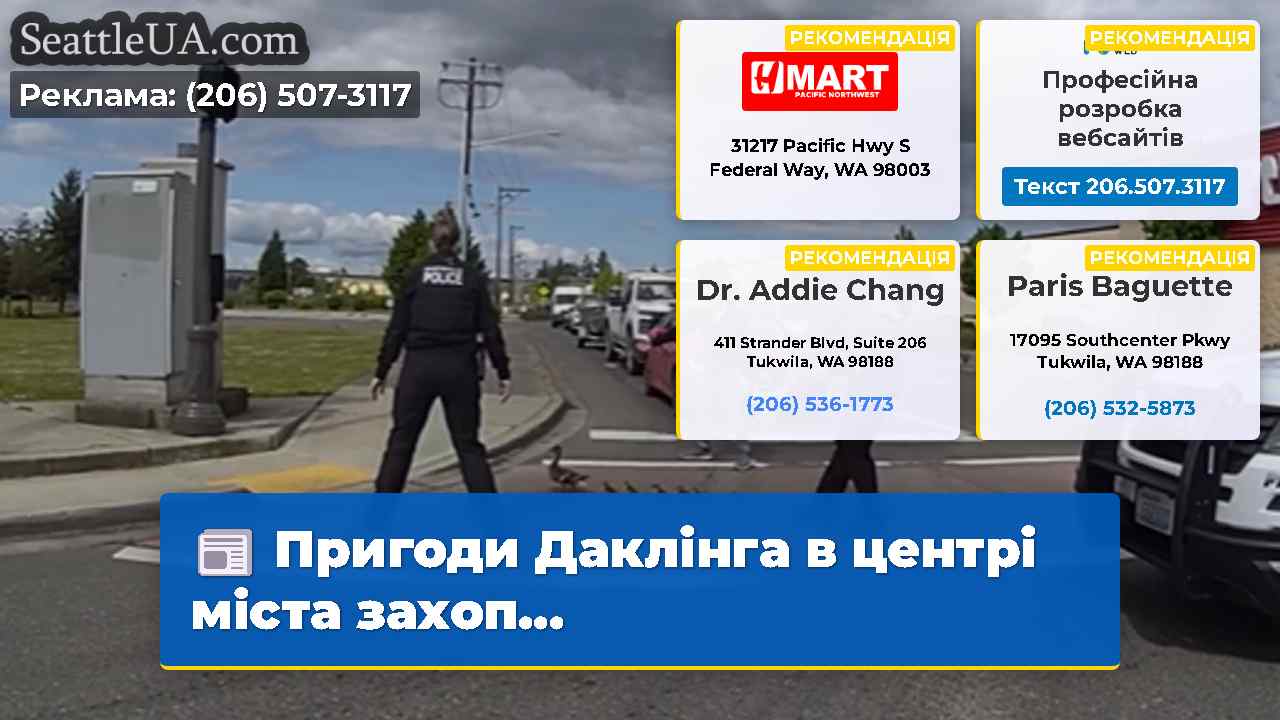 Пригоди Даклінга в центрі міста захоп…