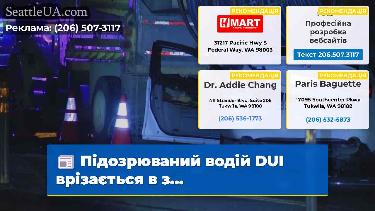 Підозрюваний водій DUI врізається в з…