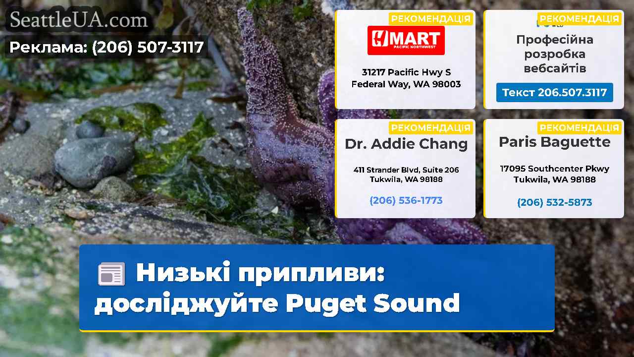 Низькі припливи: досліджуйте Puget Sound