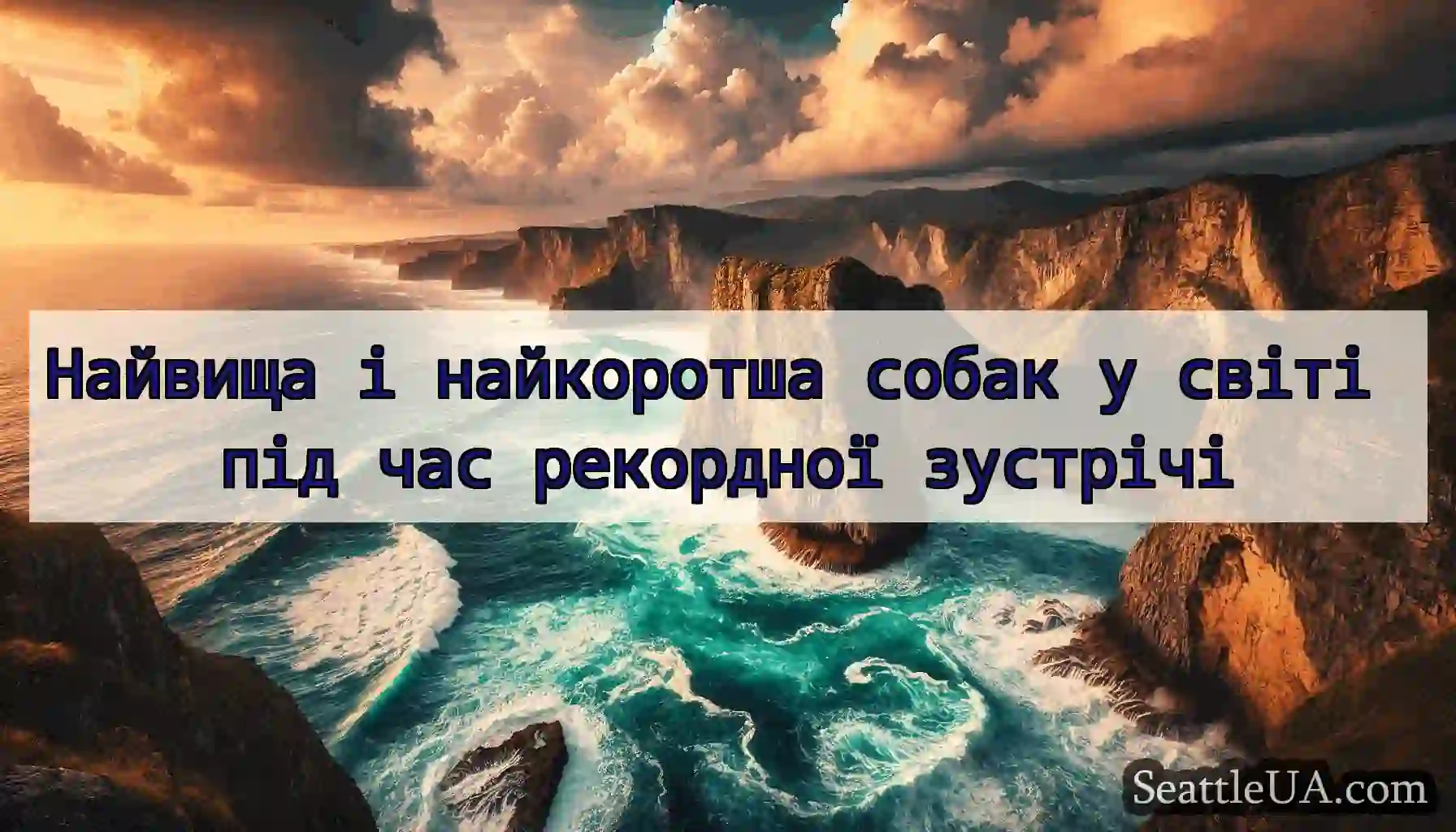 Найвища і найкоротша собак у світі під час