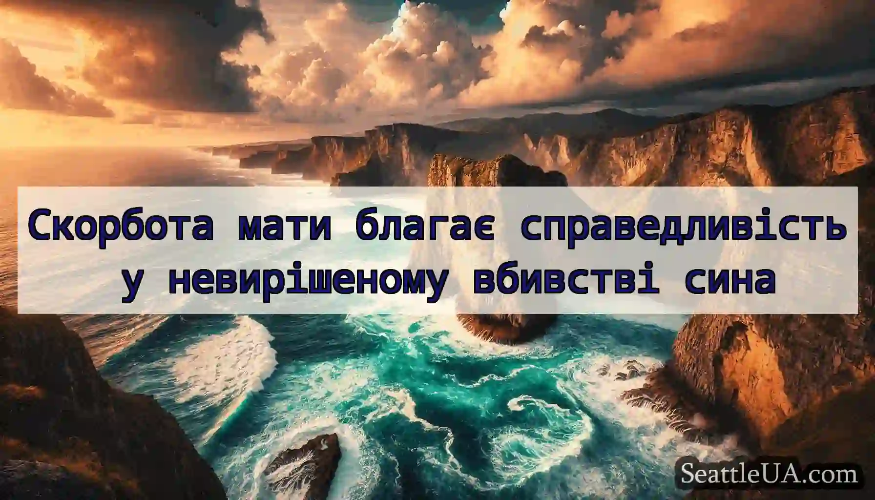 Скорбота мати благає справедливість у