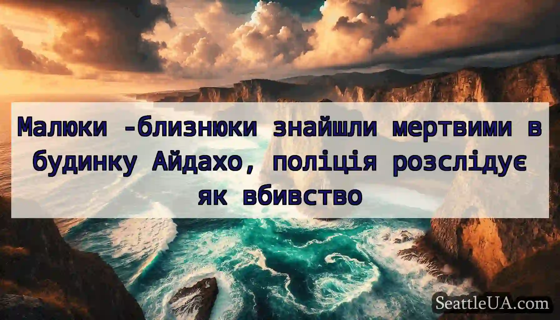 Малюки -близнюки знайшли мертвими в будинку
