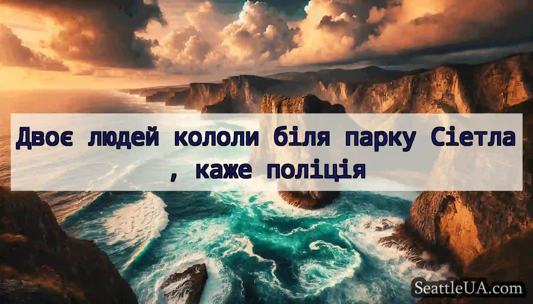 Двоє людей кололи біля парку Сіетла, каже поліція