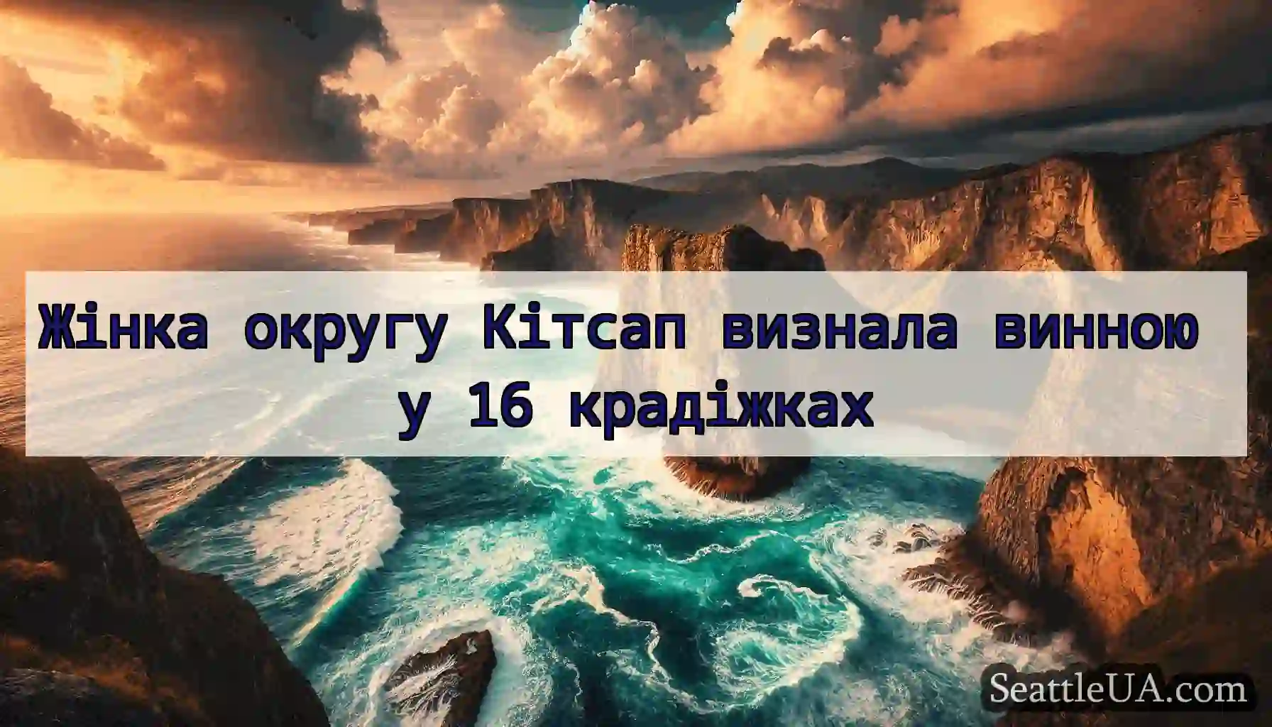 Жінка округу Кітсап визнала винною у 16