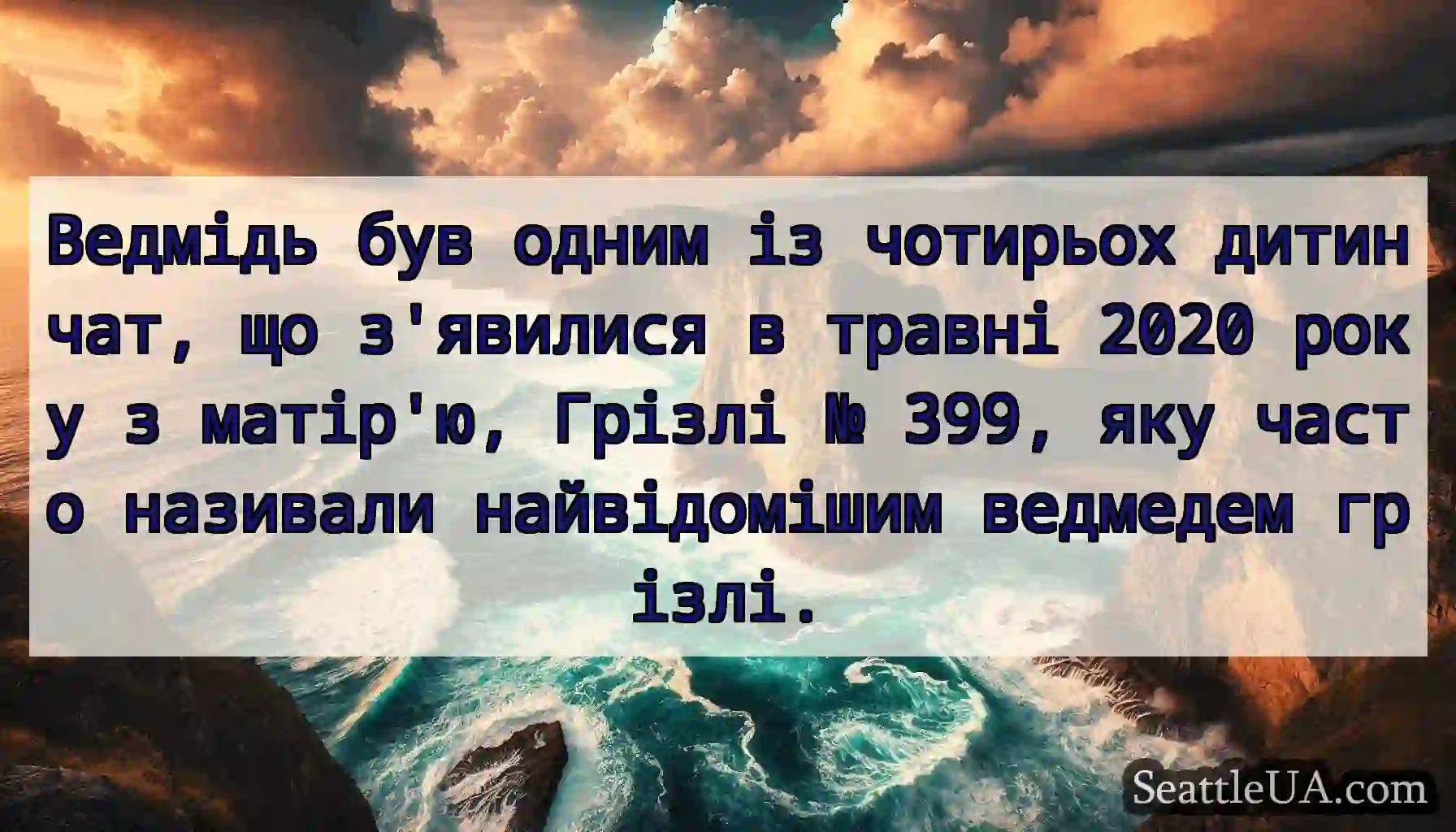 Ведмідь був одним із чотирьох дитинчат, що