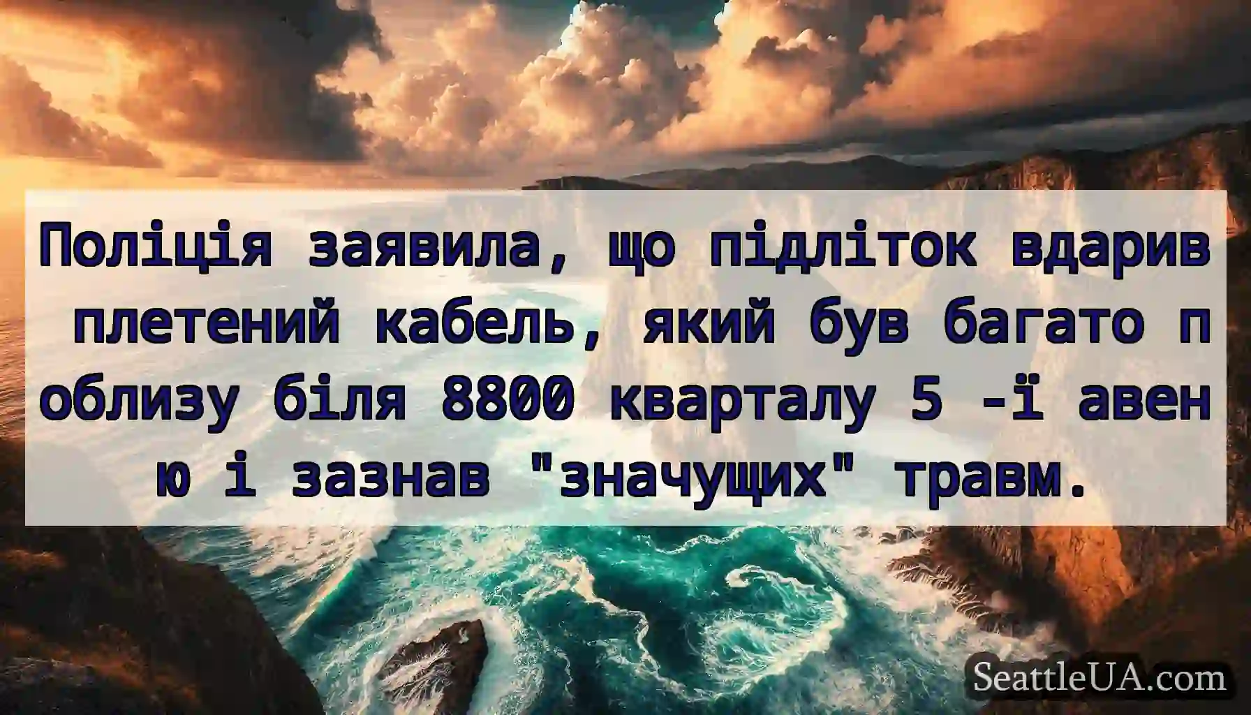 Поліція заявила, що підліток вдарив плетений