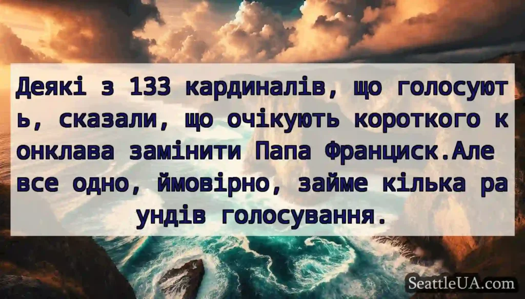 Деякі з 133 кардиналів, що голосують, сказали, що