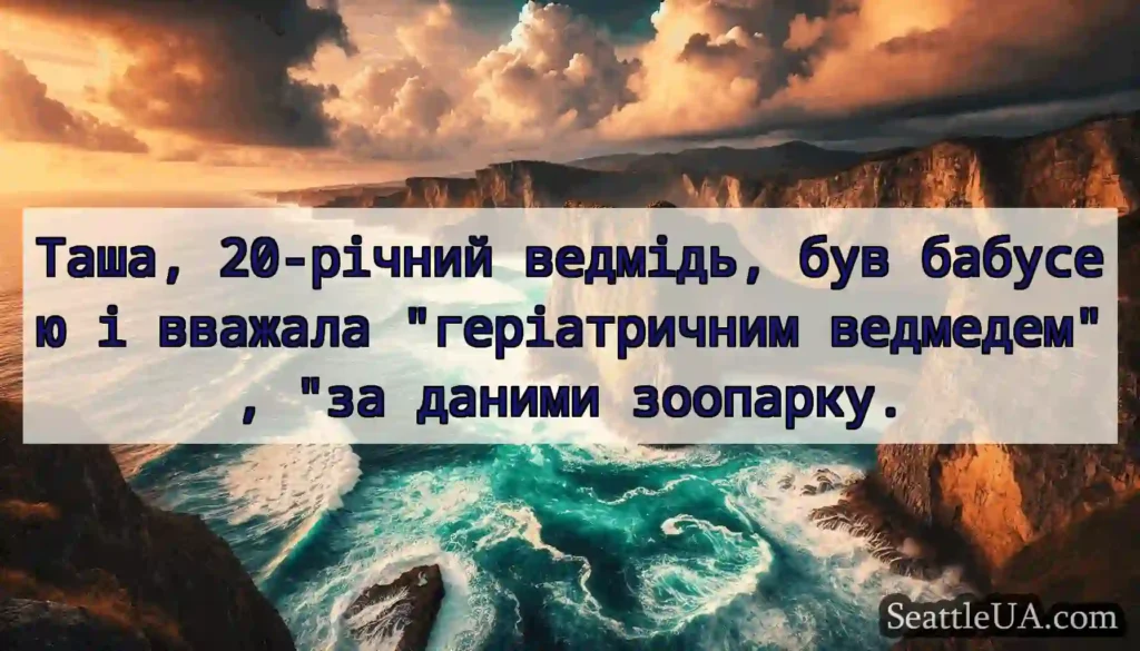 Таша, 20-річний ведмідь, був бабусею і вважала