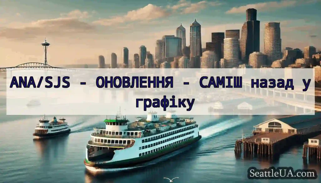 ANA/SJS - ОНОВЛЕННЯ - САМІШ назад у графіку