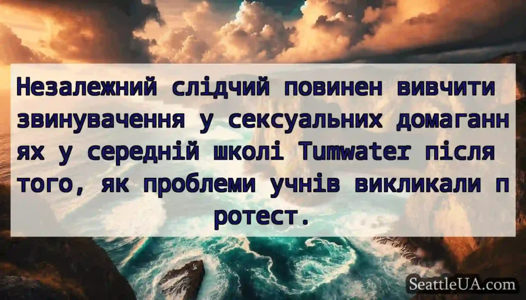 Незалежний слідчий повинен вивчити звинувачення у