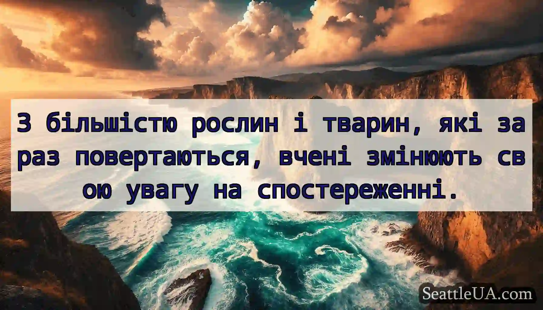 З більшістю рослин і тварин, які зараз