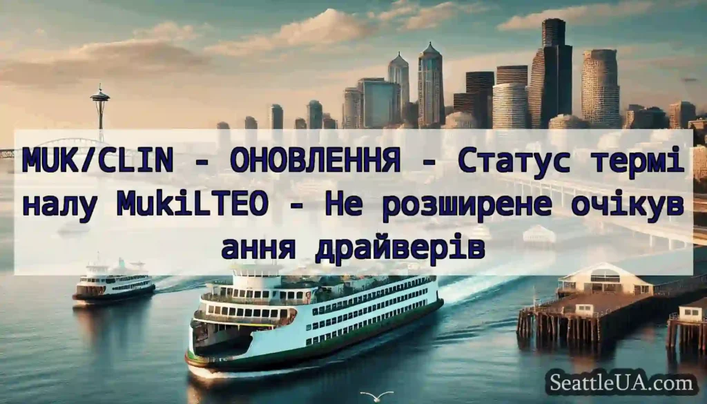 MUK/CLIN - ОНОВЛЕННЯ - Статус терміналу MukiLTEO