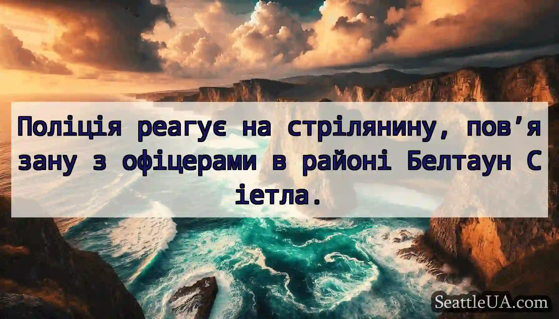 Поліція реагує на стрілянину, пов’язану з
