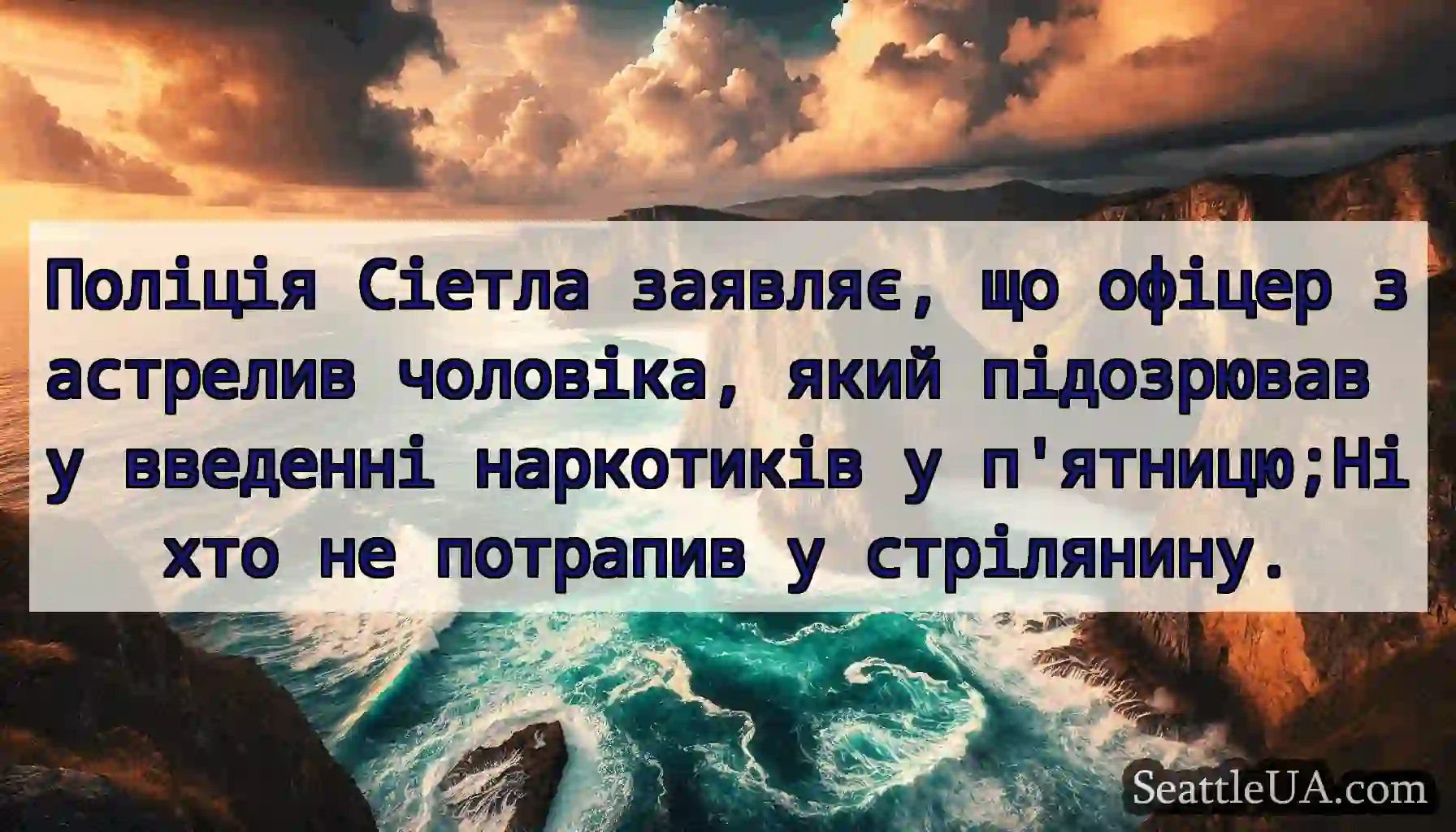 Поліція Сіетла заявляє, що офіцер застрелив