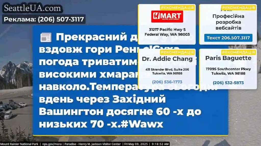 Прекрасний день у раю вздовж гори Реньє!Суха