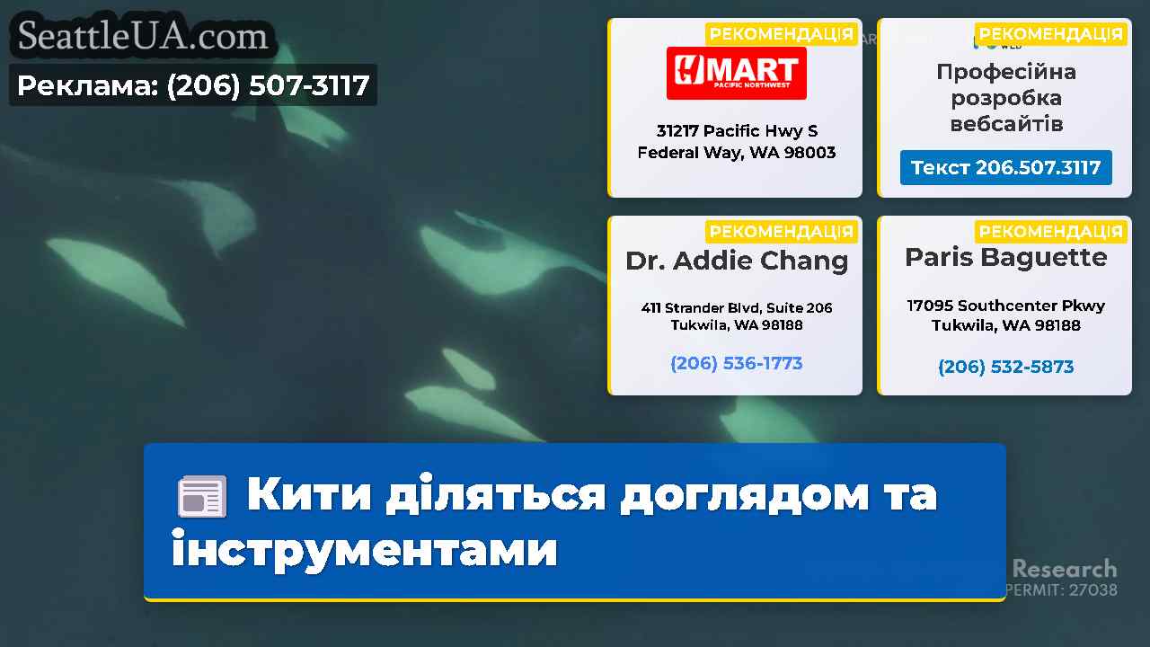Кити діляться доглядом та інструментами