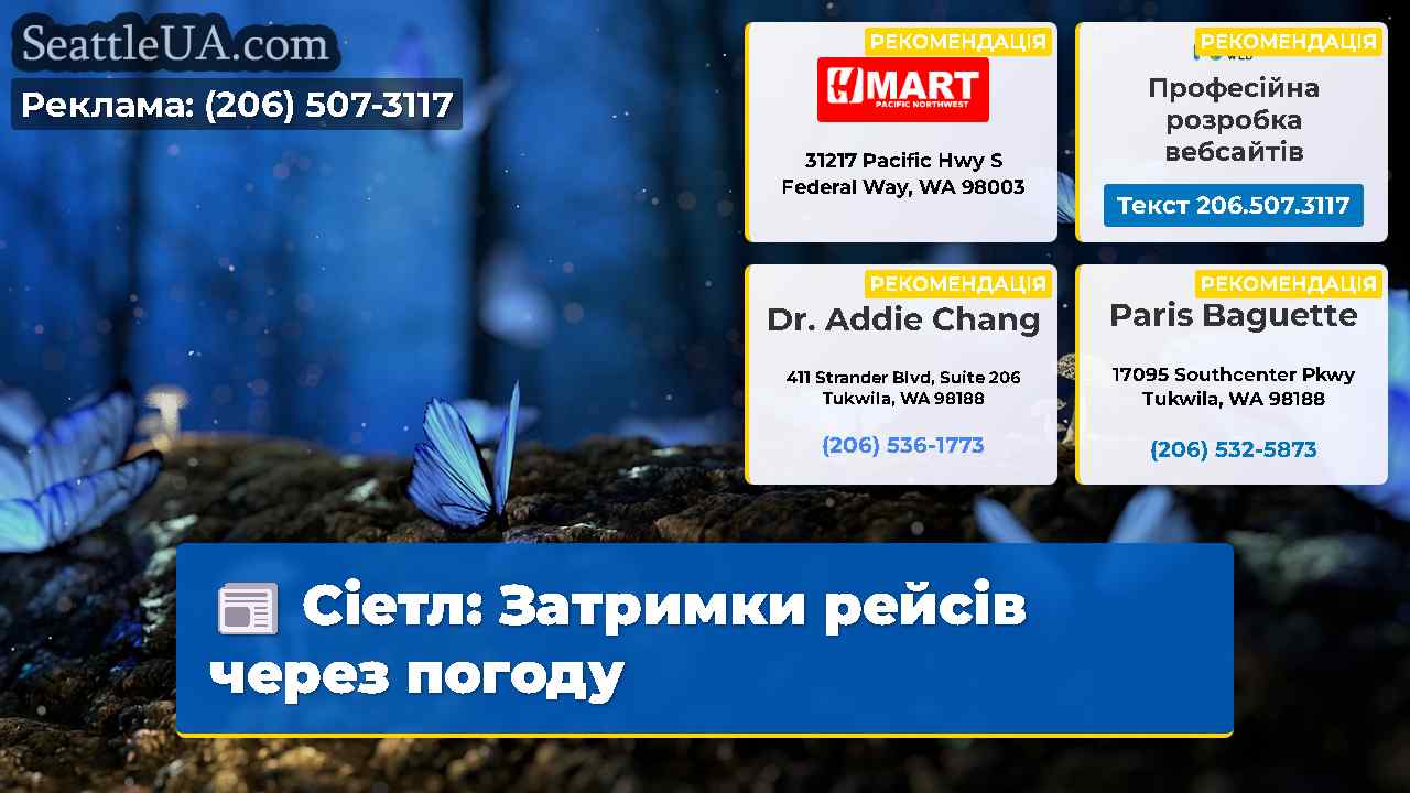 Сіетл Затримки рейсів через погоду
