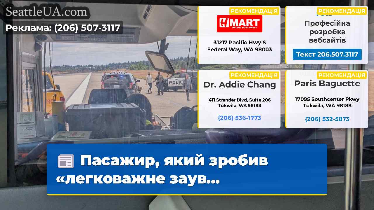 Пасажир який зробив «легковажне заув…