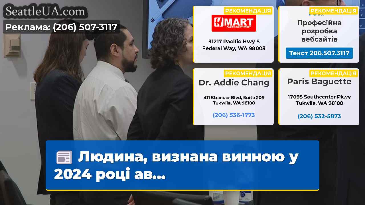 Людина, визнана винною у 2024 році ав...
