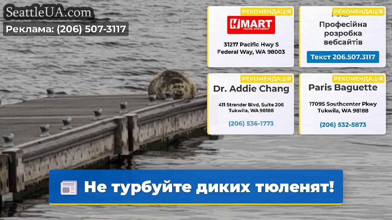Не турбуйте диких тюленят!