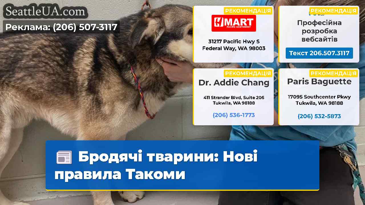 Бродячі тварини Нові правила Такоми