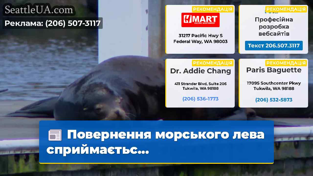 Повернення морського лева сприймаєтьс…