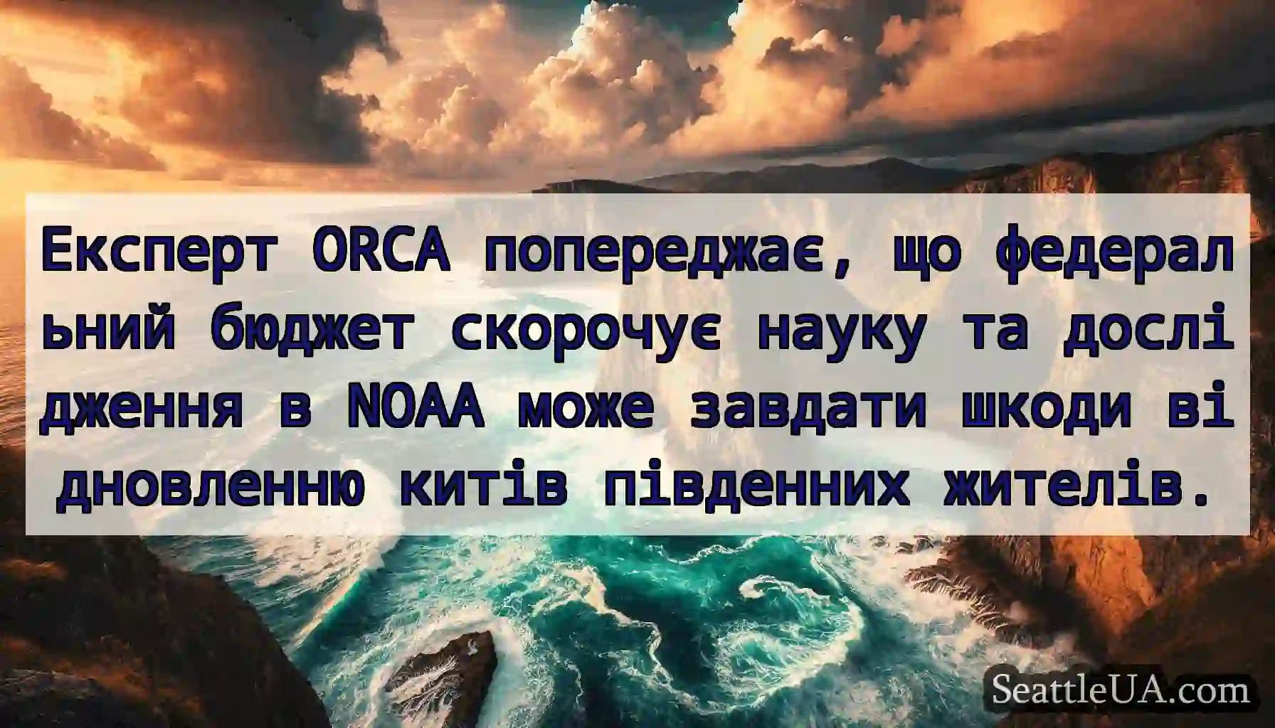 Експерт ORCA попереджає, що федеральний бюджет