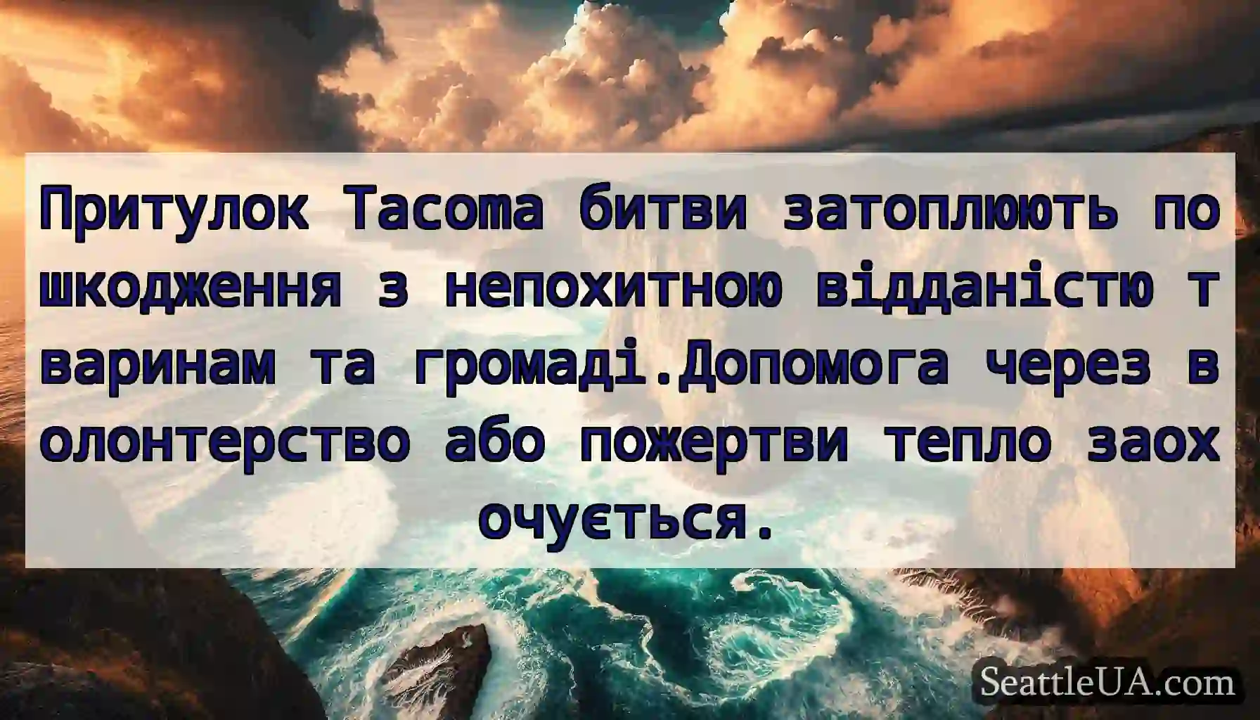 Притулок Tacoma битви затоплюють пошкодження з