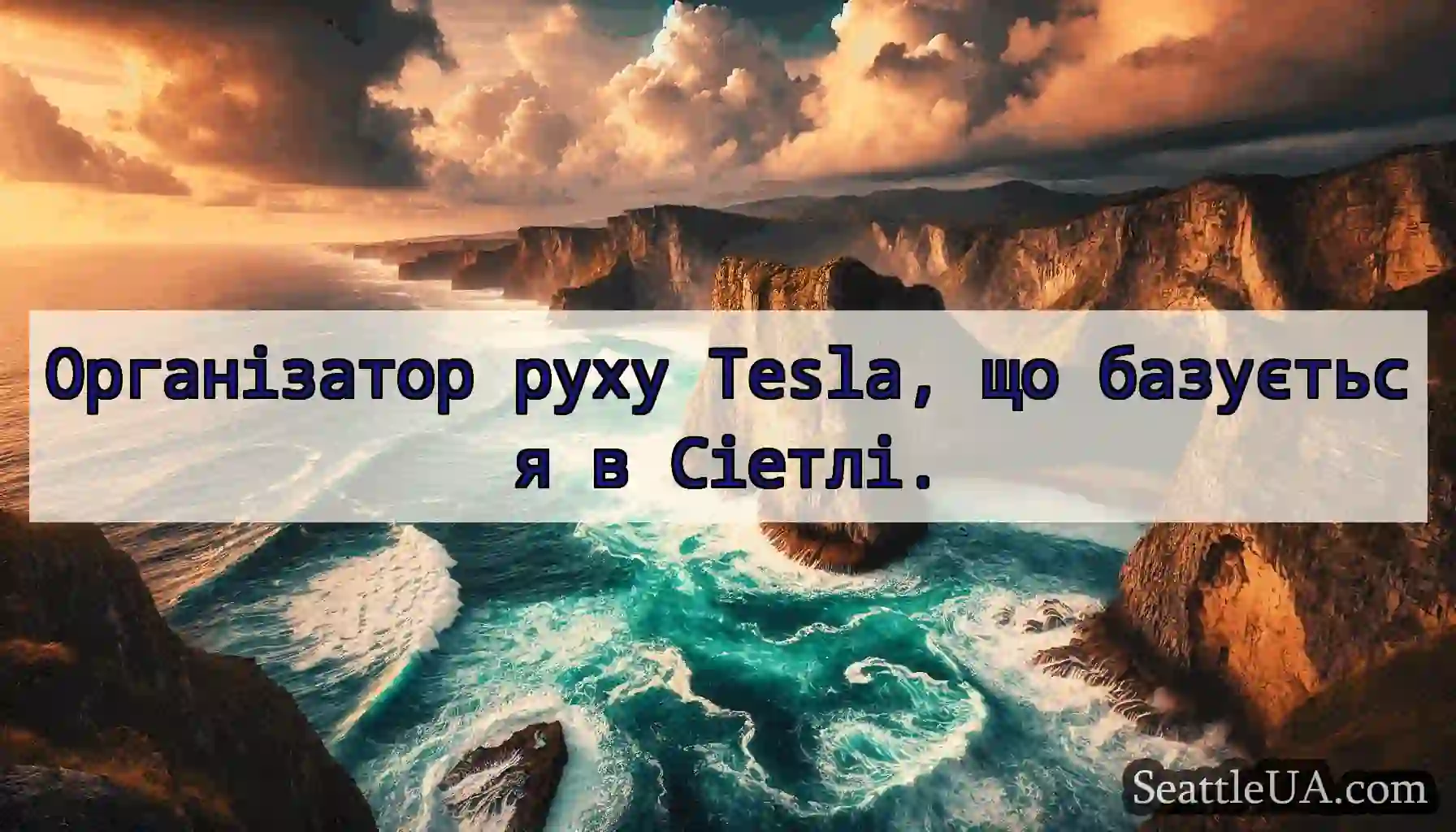 Організатор руху Tesla, що базується в Сіетлі.