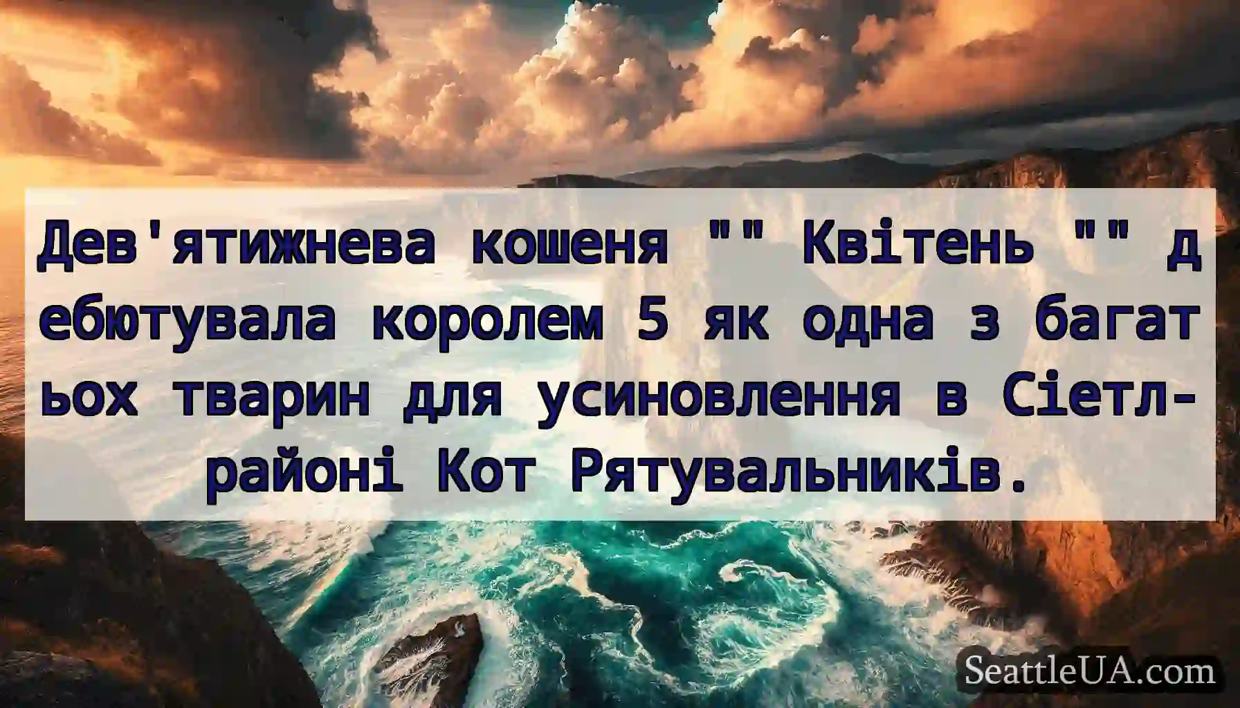 Дев'ятижнева кошеня Квітень дебютувала королем