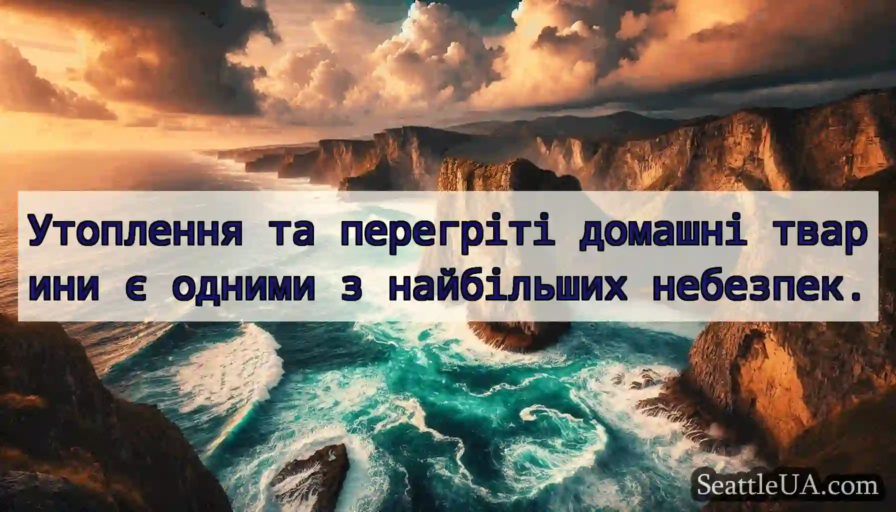 Утоплення та перегріті домашні тварини є одними з