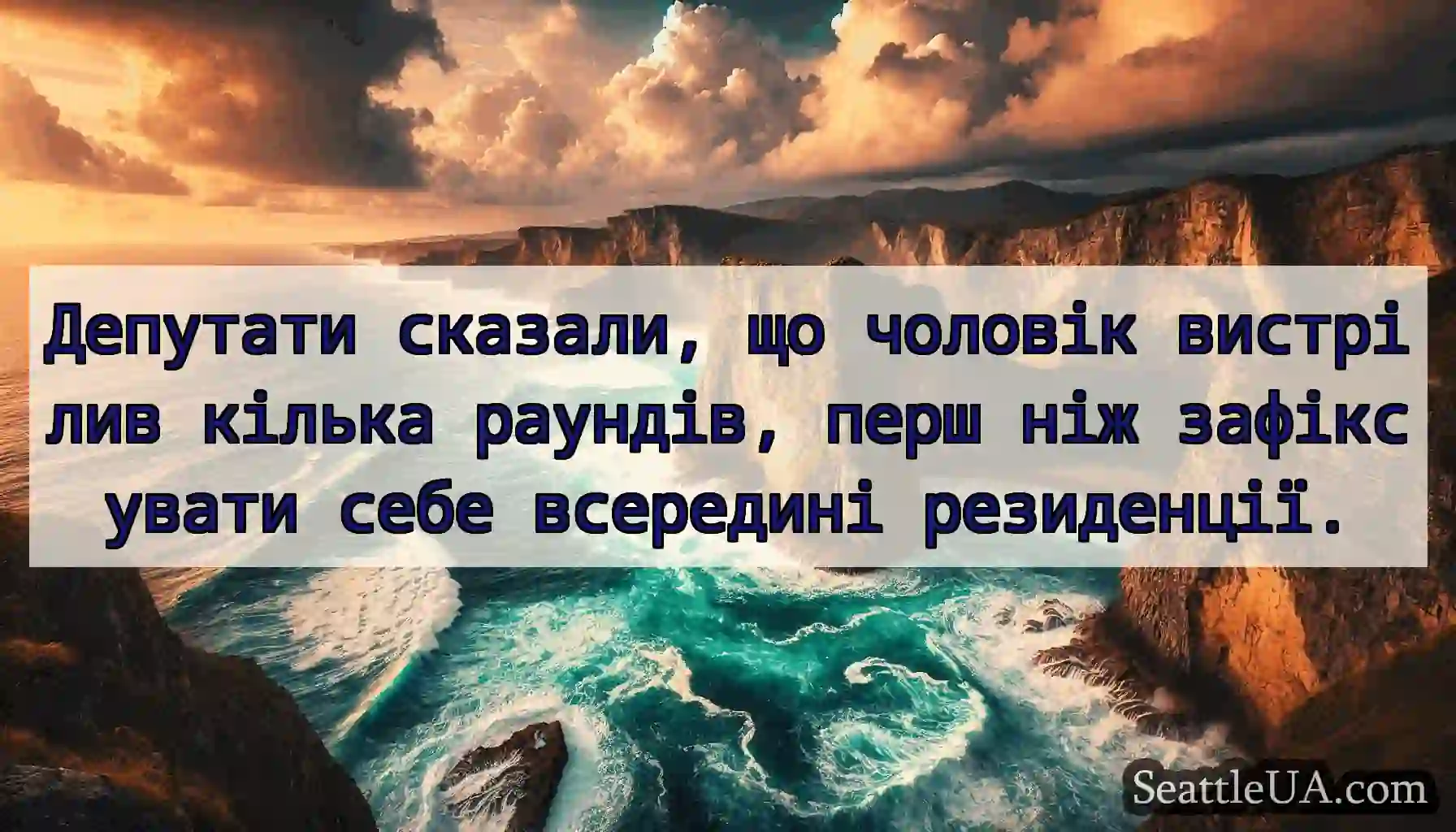Депутати сказали, що чоловік вистрілив кілька