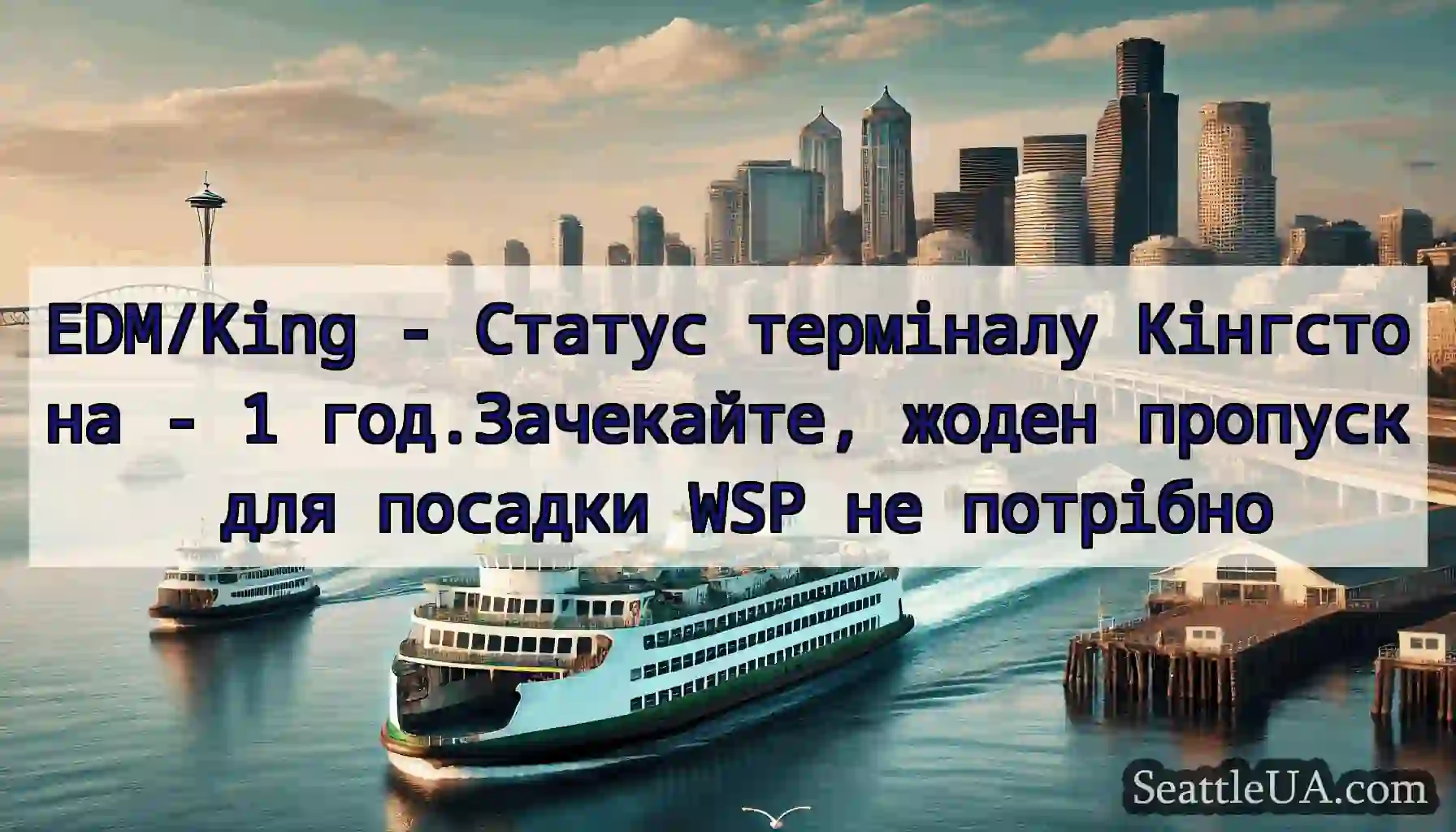 EDM/King - Статус терміналу Кінгстона - 1