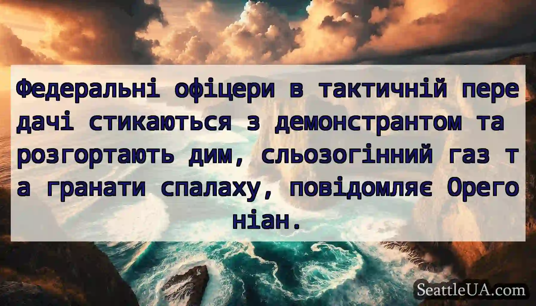 Федеральні офіцери в тактичній передачі