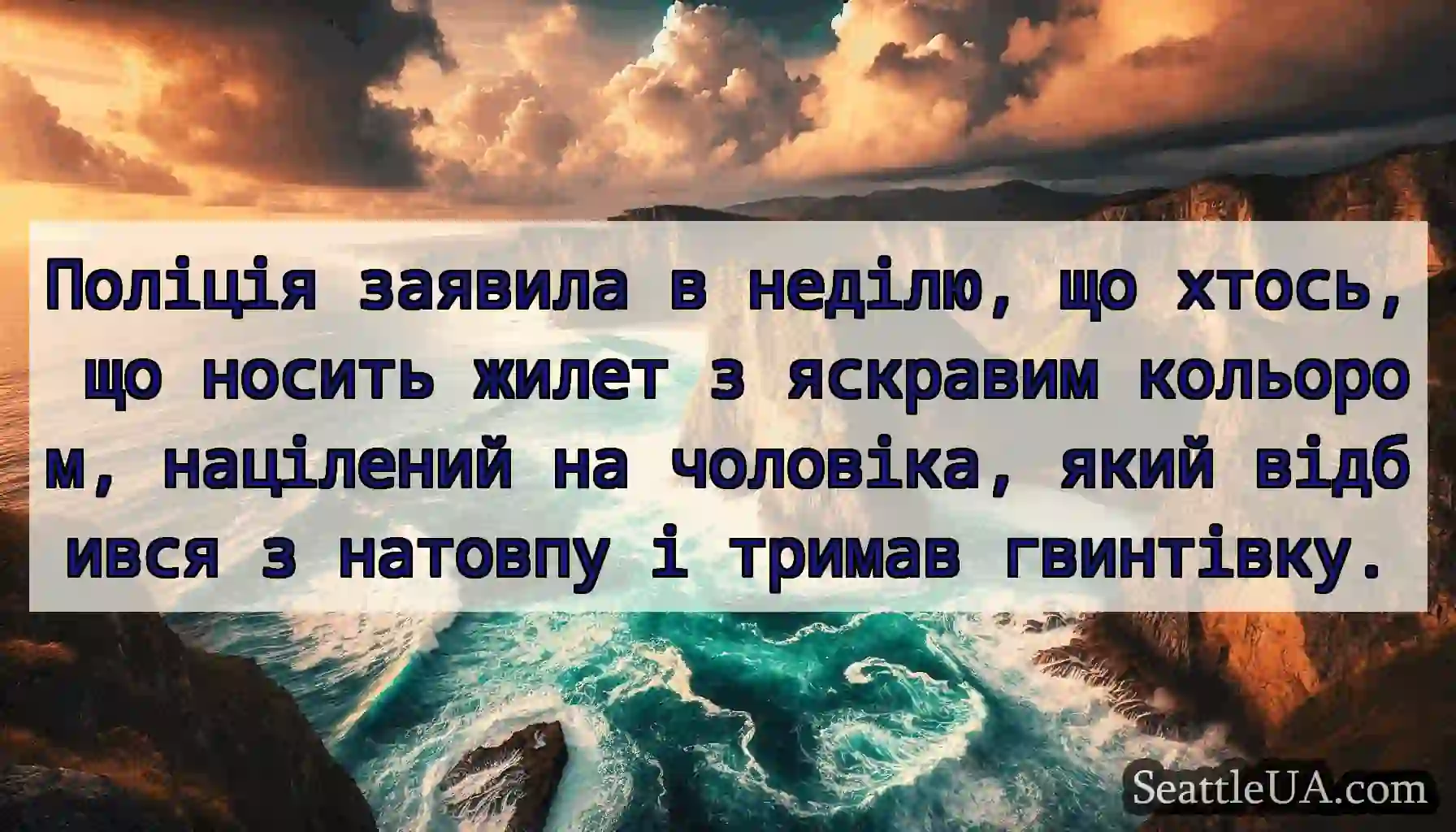 Поліція заявила в неділю, що хтось, що носить