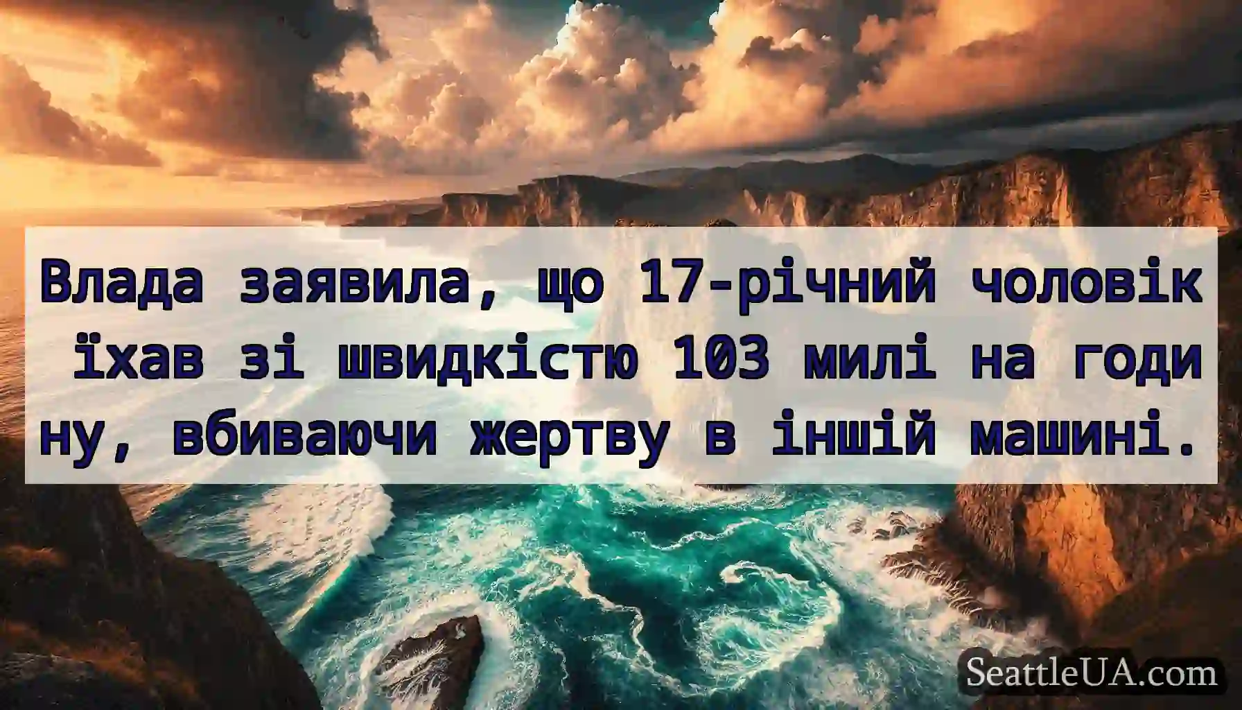 Влада заявила, що 17-річний чоловік їхав зі
