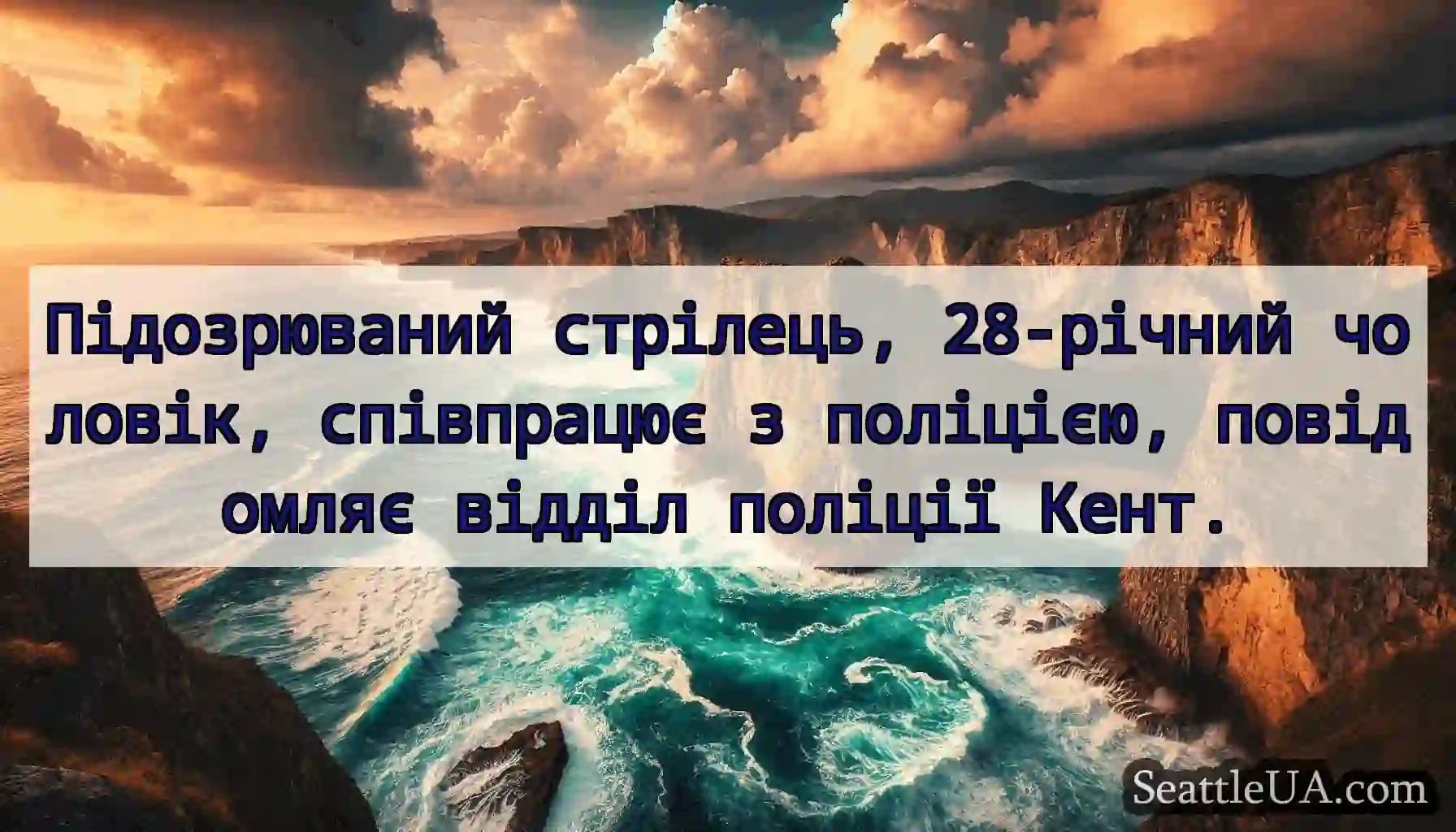 Підозрюваний стрілець, 28-річний чоловік,