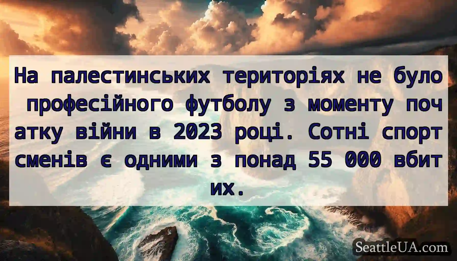 На палестинських територіях не було професійного