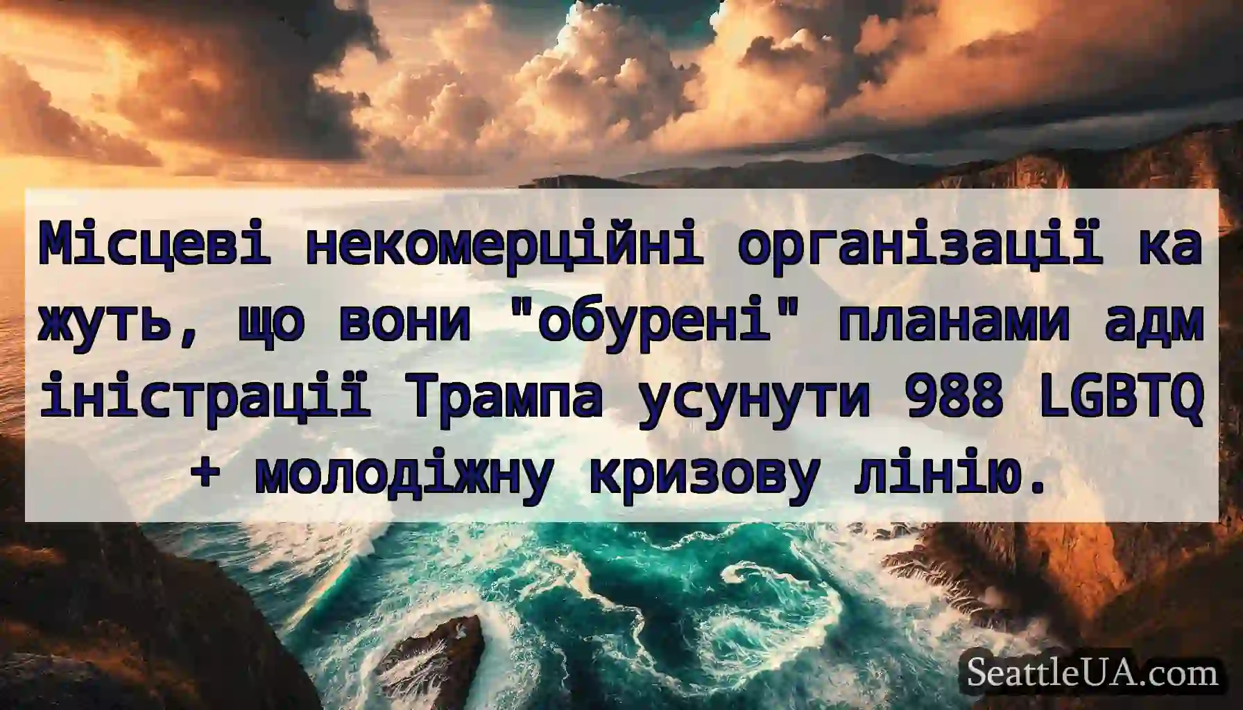 Місцеві некомерційні організації кажуть, що вони
