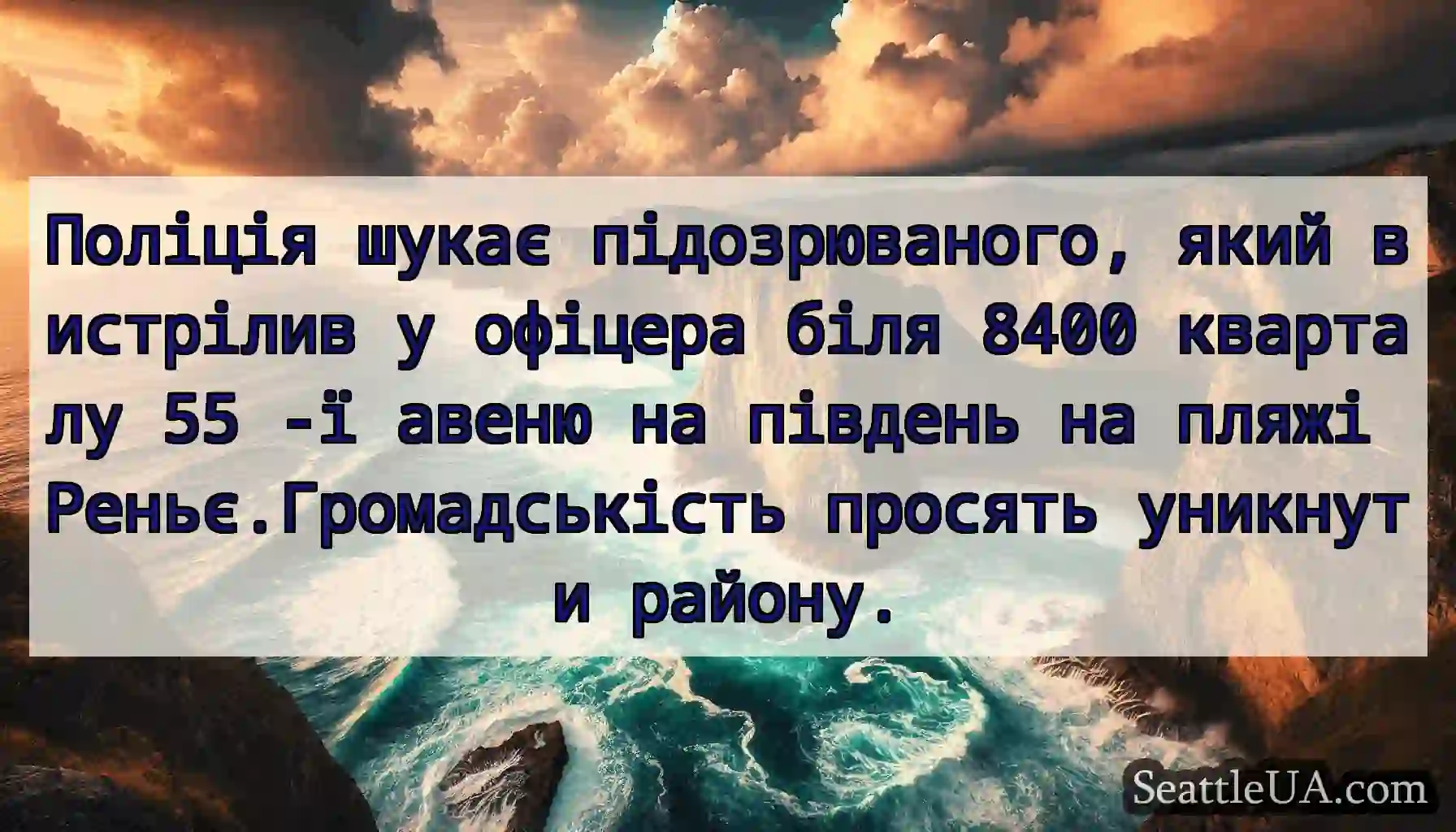 Поліція шукає підозрюваного, який вистрілив у