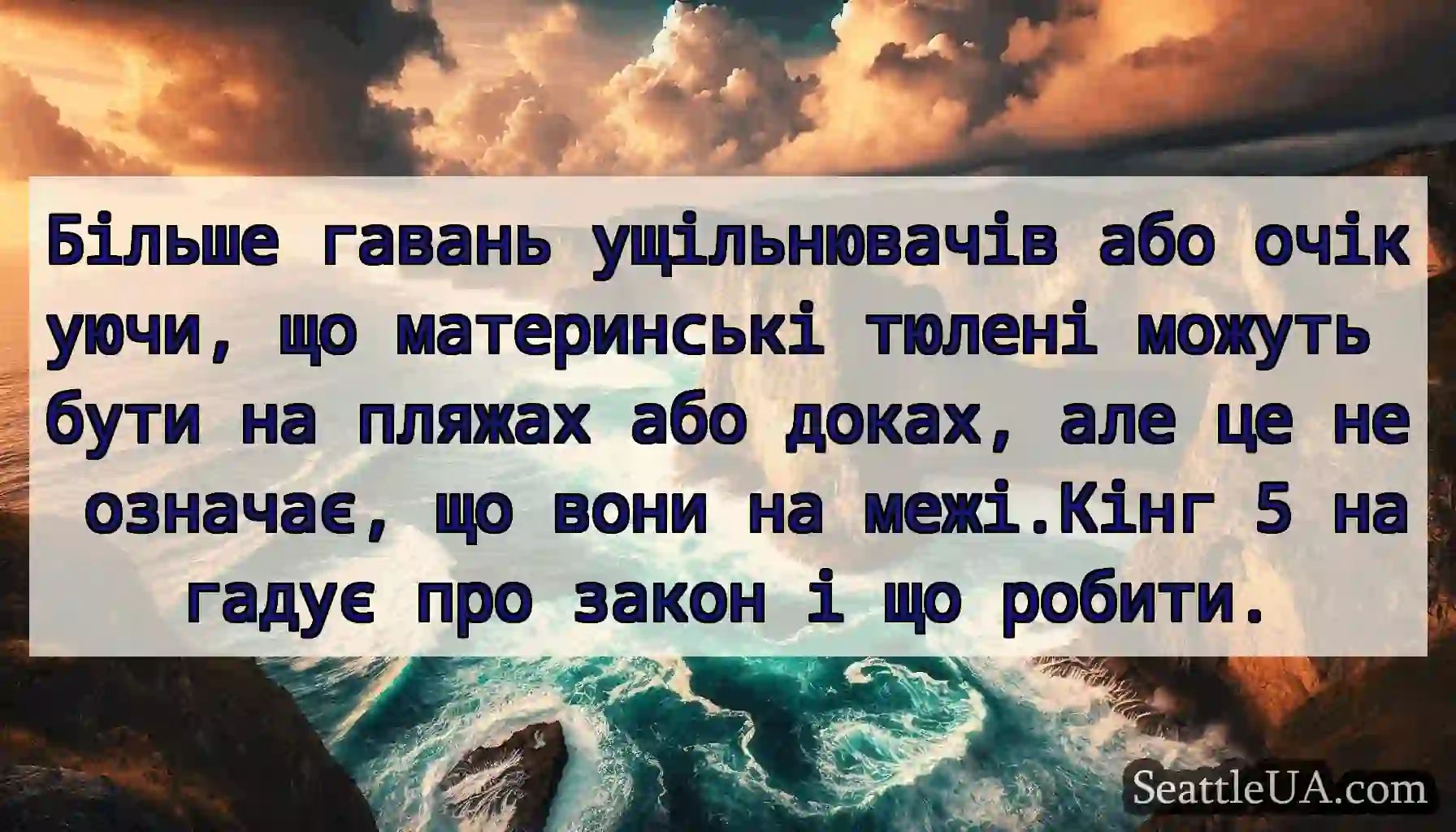 Більше гавань ущільнювачів або очікуючи, що