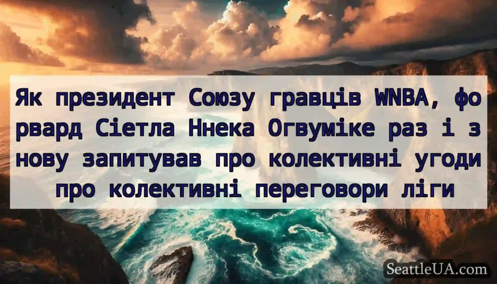Як президент Союзу гравців WNBA, форвард Сіетла