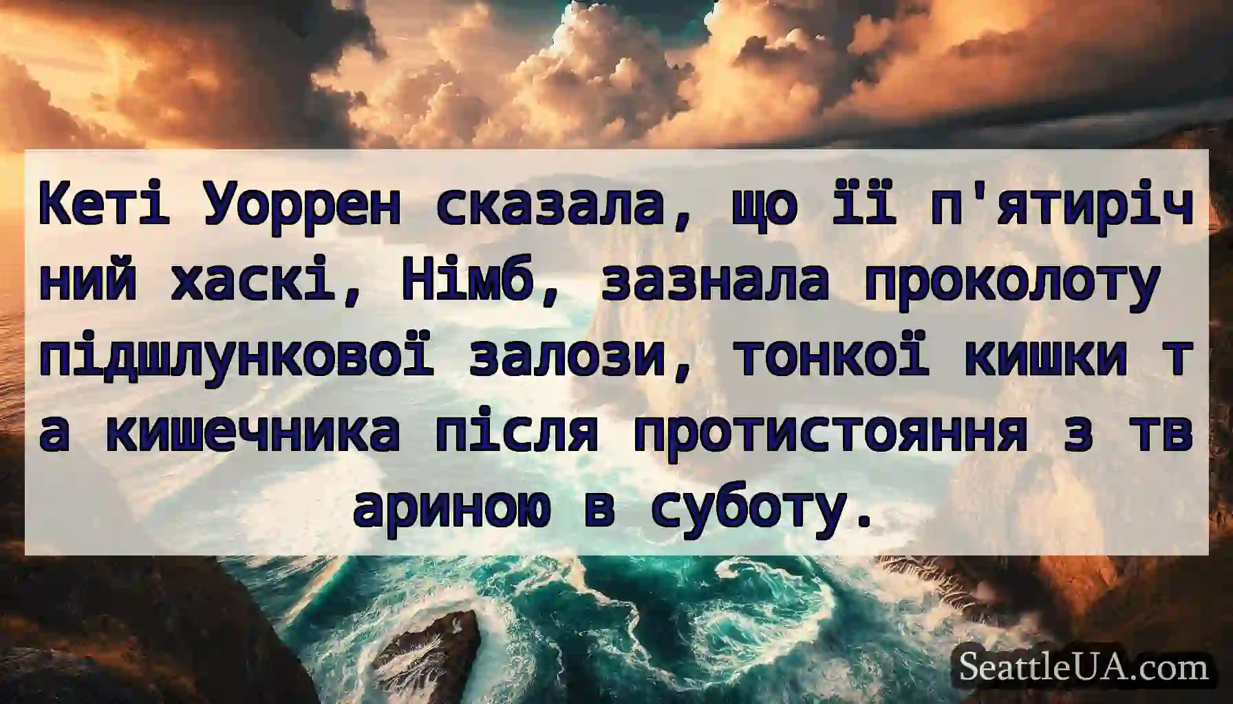 Кеті Уоррен сказала, що її п'ятирічний хаскі,