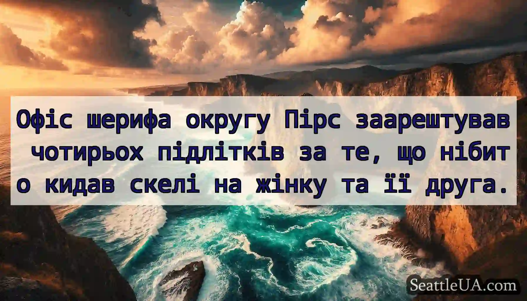 Офіс шерифа округу Пірс заарештував чотирьох