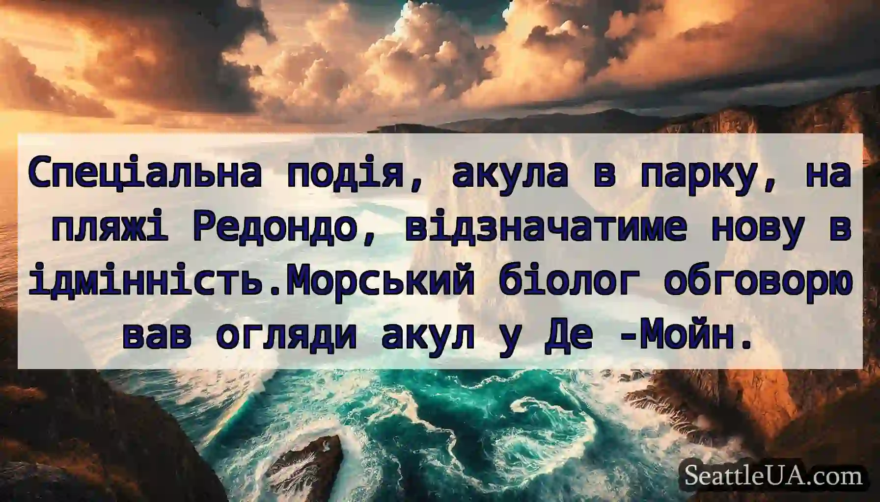Спеціальна подія, акула в парку, на пляжі