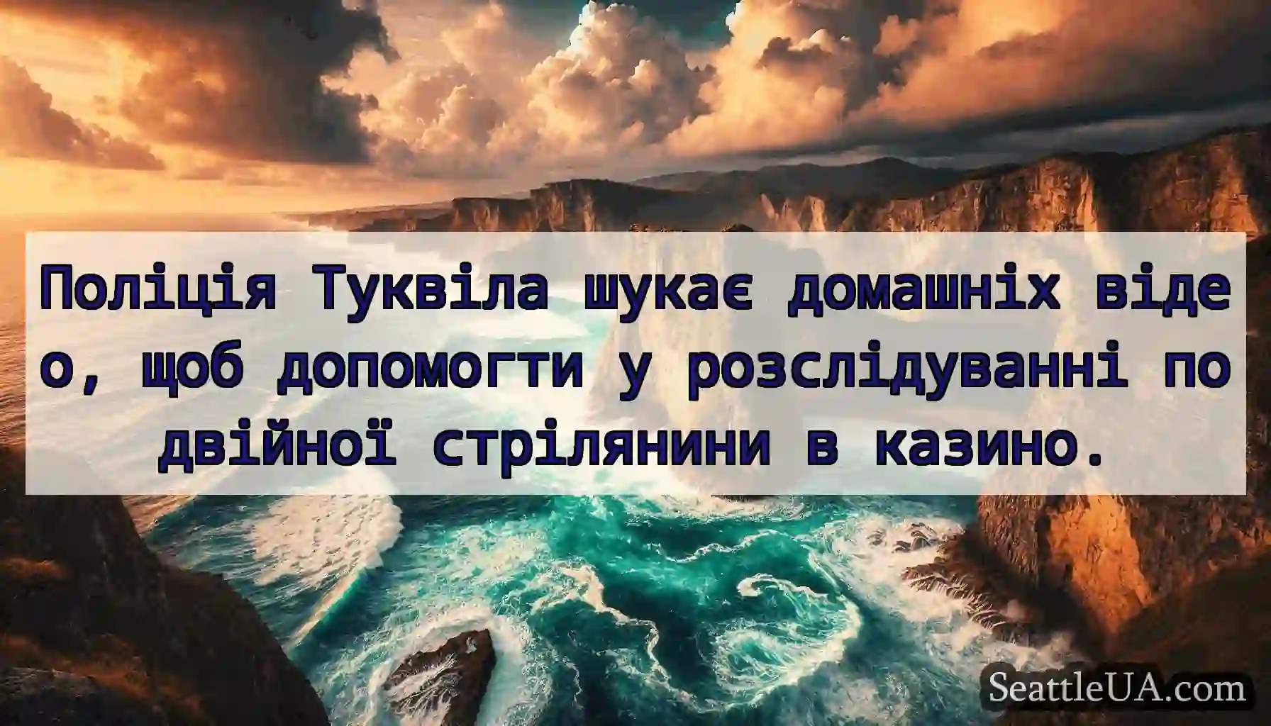 Поліція Туквіла шукає домашніх відео, щоб