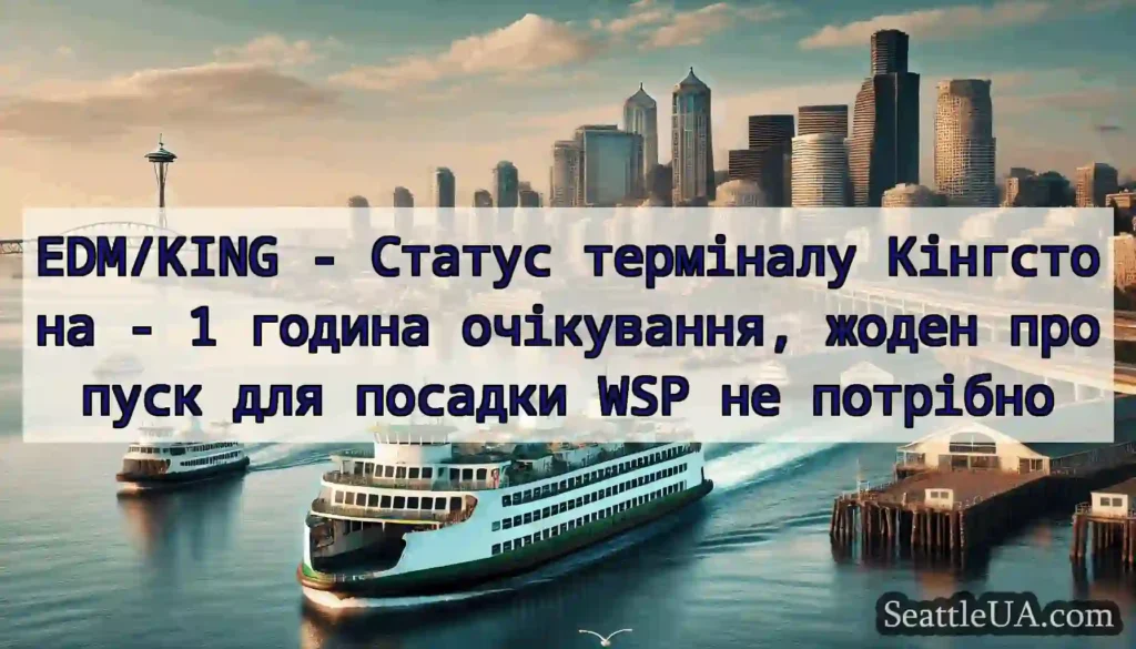 EDM/KING - Статус терміналу Кінгстона - 1 година