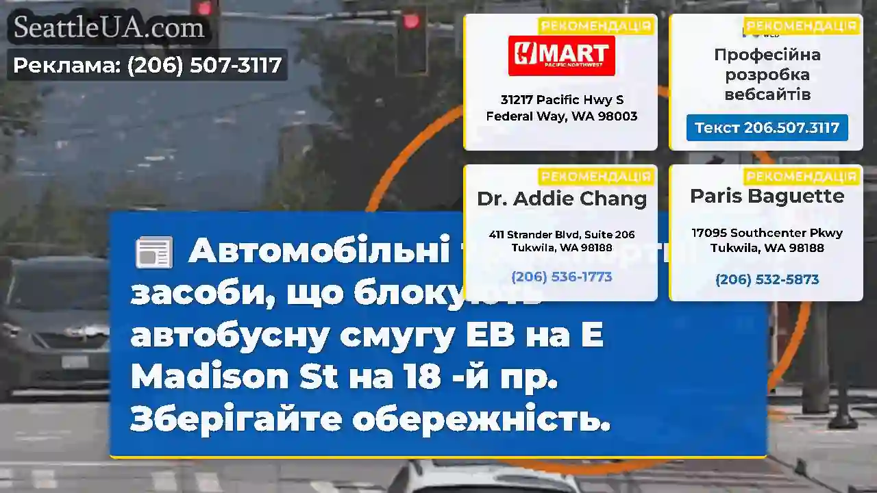Автомобільні транспортні засоби, що блокують
