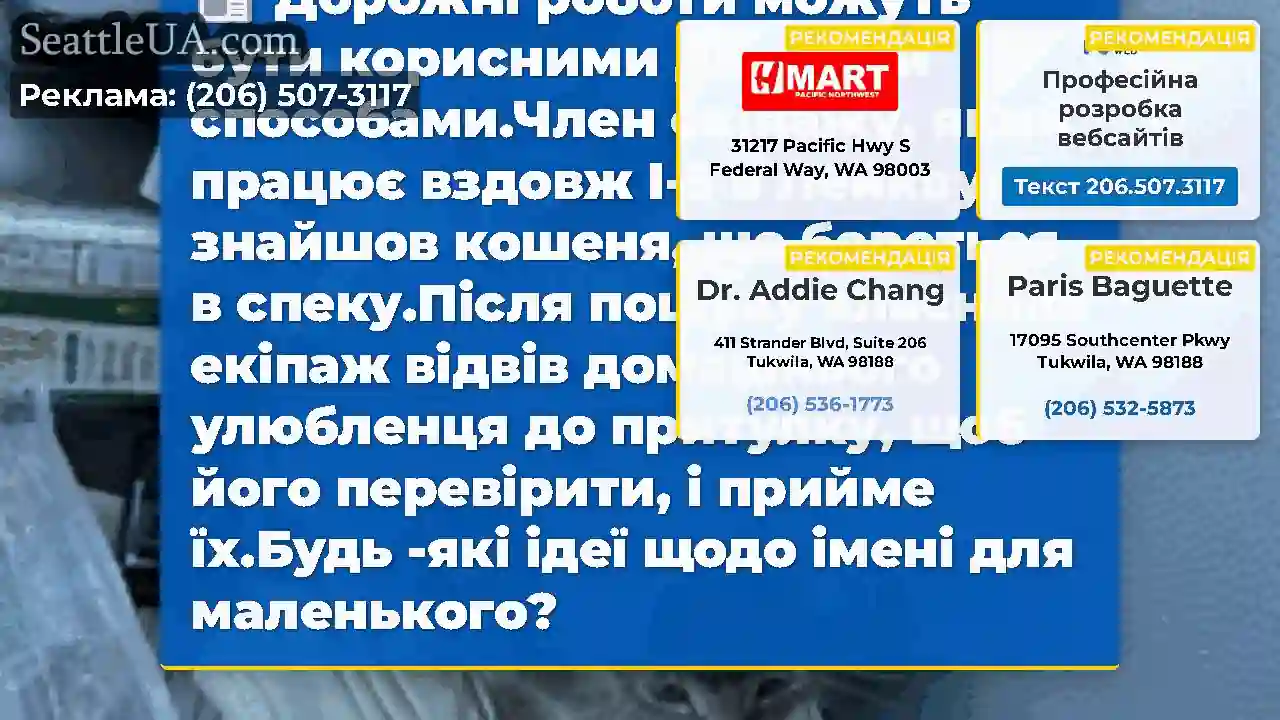 Дорожні роботи можуть бути корисними дивними