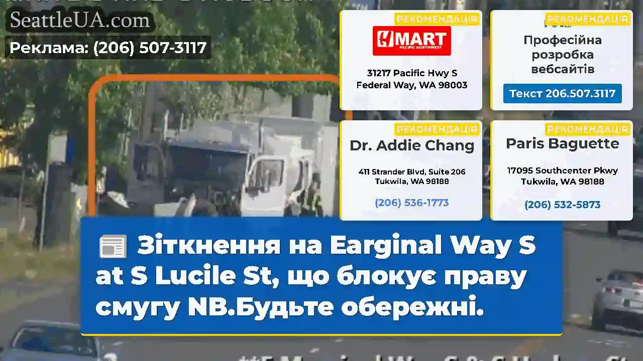 Зіткнення на Earginal Way S at S Lucile St, що